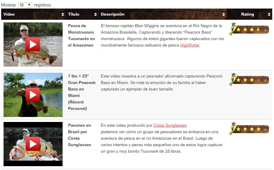 Tabla Configurada con CSS